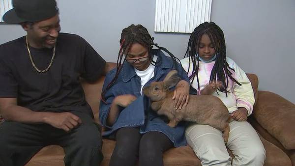 A family and their pet rabbit will now have a place to stay thanks to help from a GoFundMe
