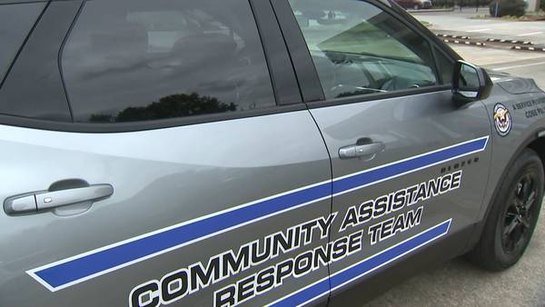 New Cobb County police unit to focus on non-violent emergencies