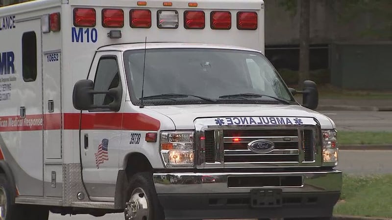 Pregnant passenger dies in crash believed to involve DUI, GSP says