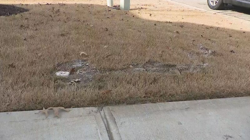 Blockage sends sewage pouring into woman’s home, yard; company denies responsibility