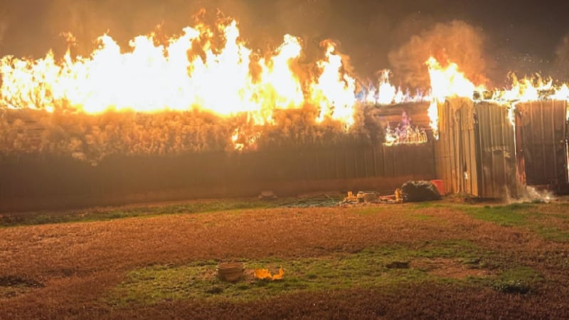 14,000 chickens killed when poultry house catches fire at processing plant