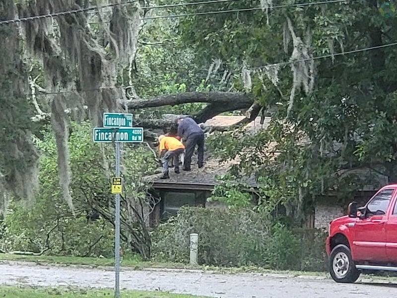 Tree on house in Woodmere