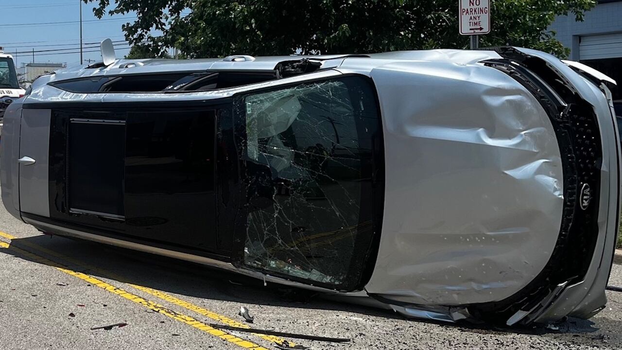 The driver crashed while trying to get the insect out of their vehicle.