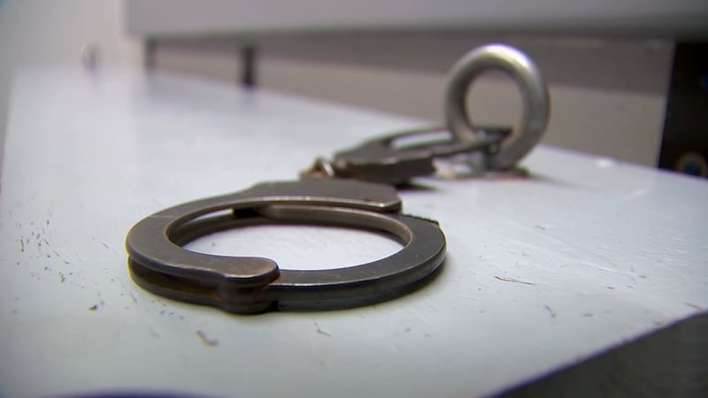 Metro Atlanta man faked campaign services for politician, legal defense and more