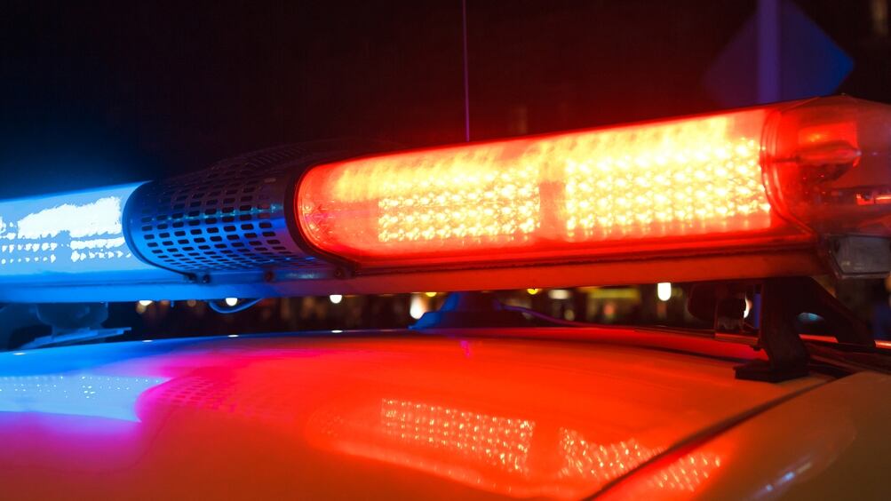 Officials confiscated hundreds of animals including some that were endangered and exotic from a man’s home in Long Island, New York.