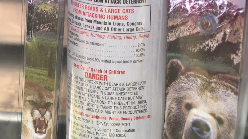 Parents speak out after bear spray attack injures children at metro Atlanta hotel