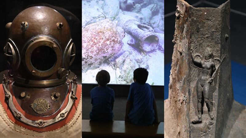 PHOTOS: Sunken Treasures, Ancient Seas at Fernbank Museum