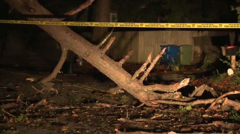 Downed trees , power outages reported in metro Atlanta after strong storms