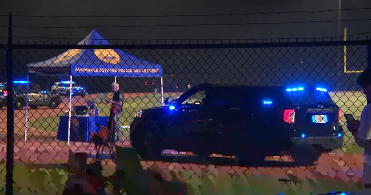 Man arrested after gunfire disrupts fireworks show; families ran for safety