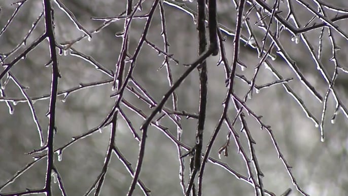 Gwinnett County deals with downed trees and power outages