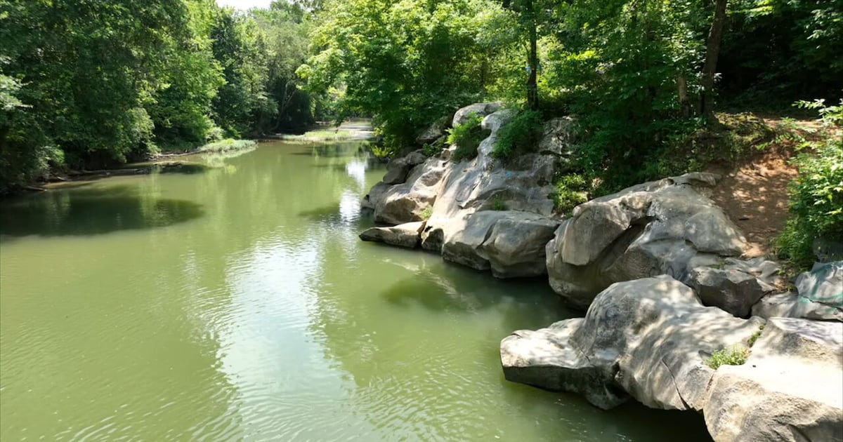 Brothers tried saving 14-year-old from Georgia creek but current was too strong, sweeping him under