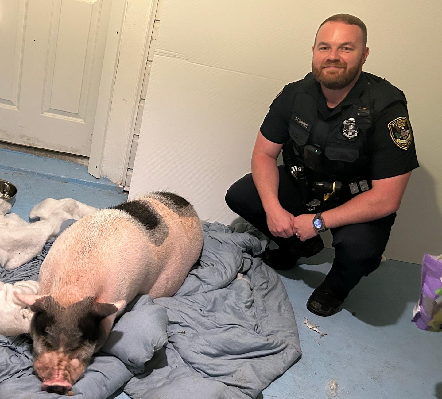 A pig is back home safely after being apprehended by Dunwoody PD.