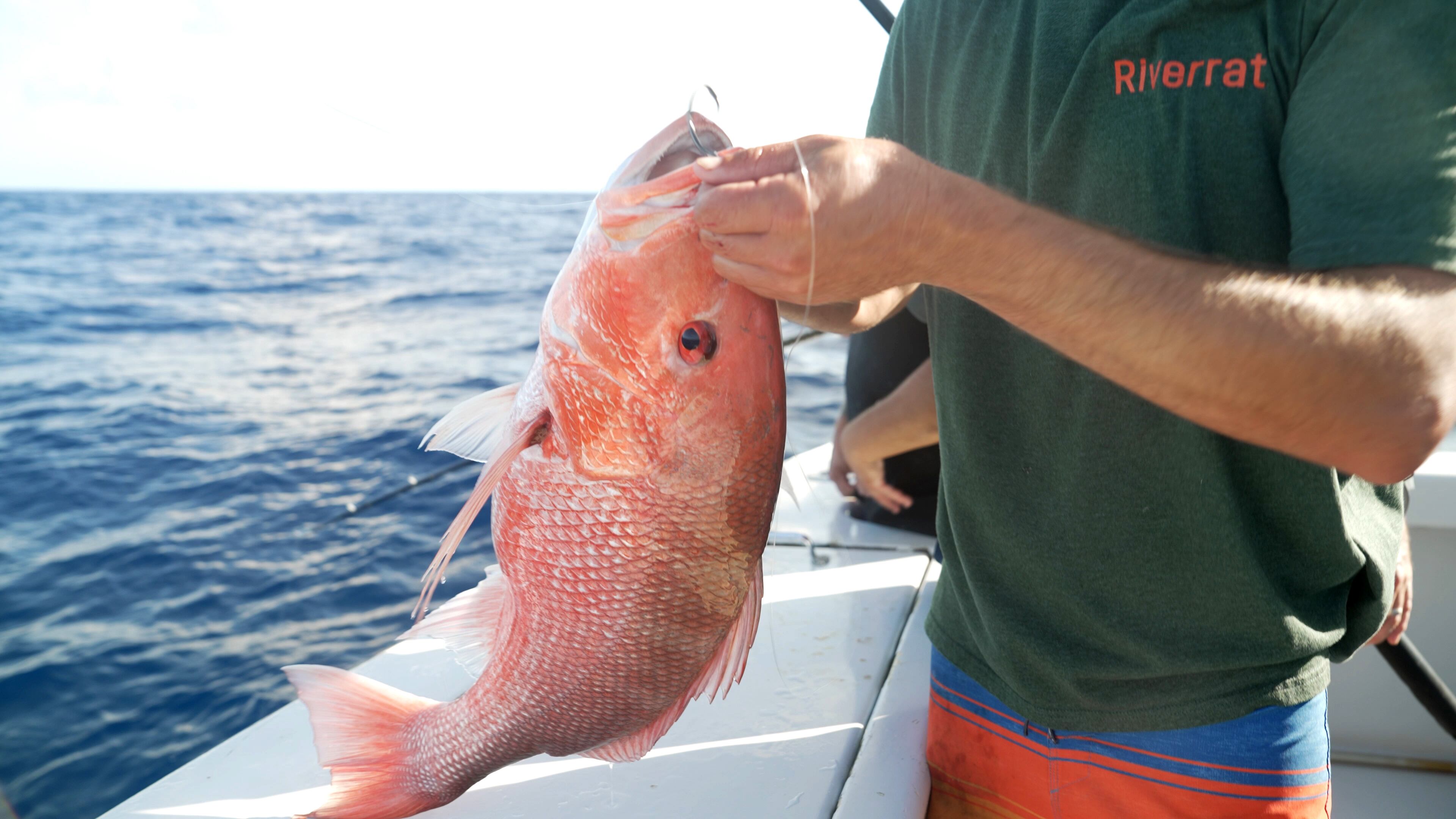 Georgia forced to cancel expanded window for Red Snapper fishing after federal order