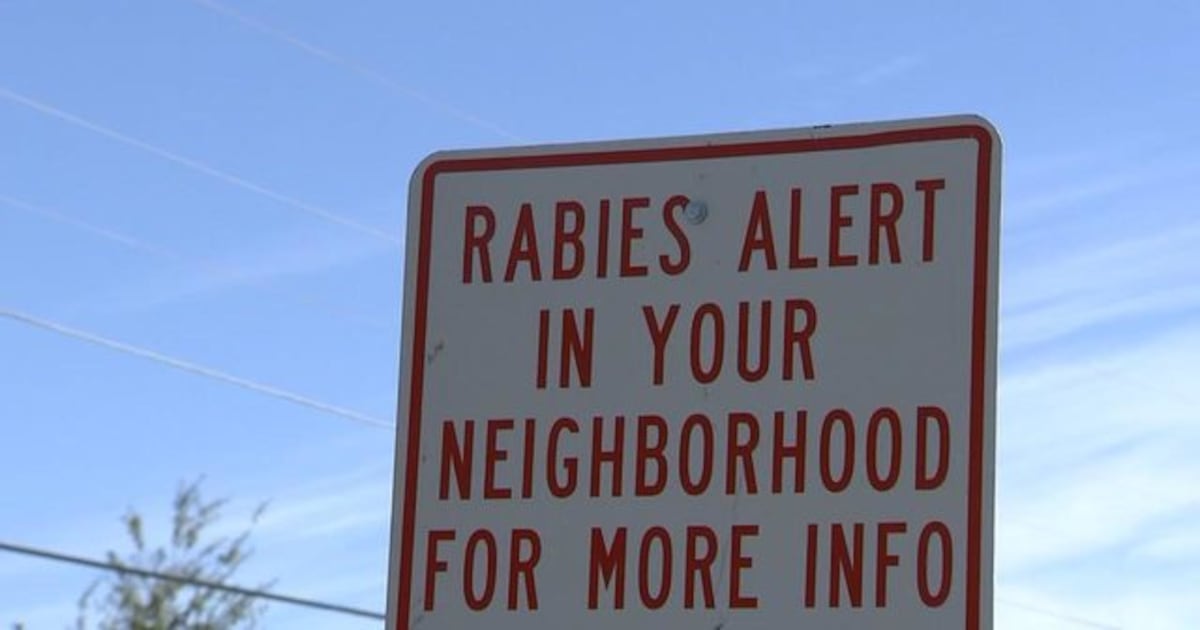 Cat with rabies attacks 2 people in Gwinnett County
