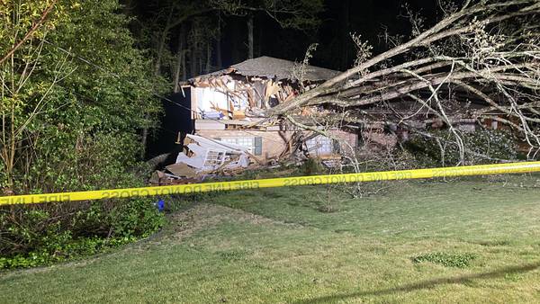 Trees fall on homes in DeKalb County after high winds sweep across metro Atlanta