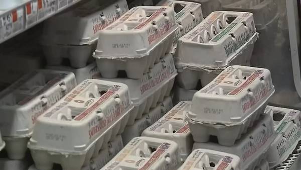 County officials giving away 5,000 boxes of food in DeKalb County, citing high grocery prices