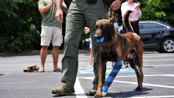 K9 has leg amputated after being shot during Gwinnett County stand-off