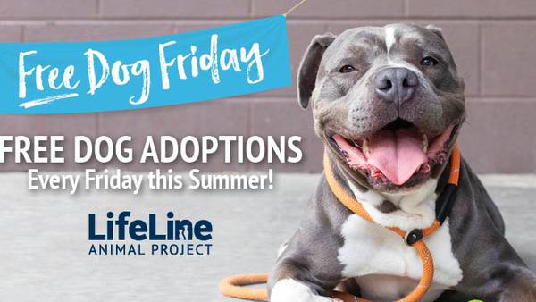 LifeLine shelters in metro Atlanta announces return of free adoption Fridays for summer 2024