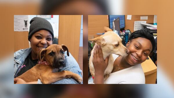 DeKalb County animal shelter continues push for adoptions as euthanasia deadline approaches