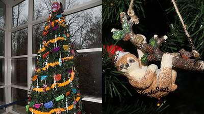 PHOTOS: See Christmas trees from around the World at Fernbank
