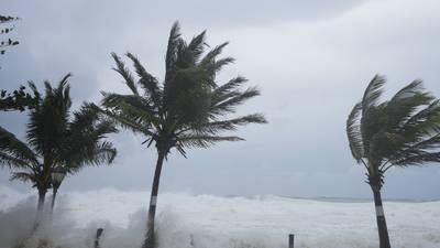 Local Caribbean families fear for safety of loved ones in path of Hurricane Beryl