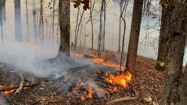 Rangers working to put out wildfire at Lake Allatoona, warn of dry conditions